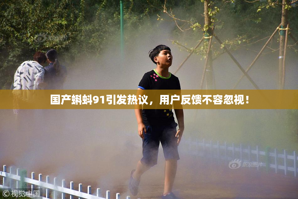 国产蝌蚪91引发热议，用户反馈不容忽视！