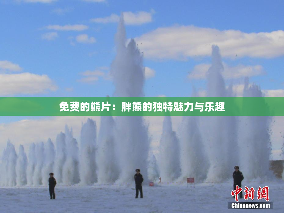 免费的熊片：胖熊的独特魅力与乐趣