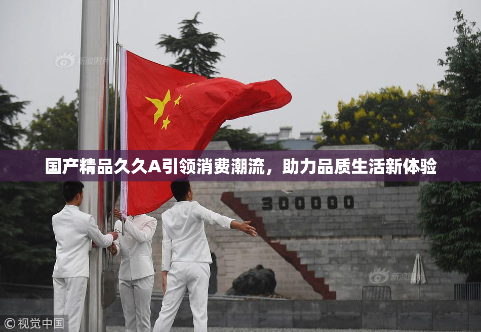 国产精品久久A引领消费潮流，助力品质生活新体验