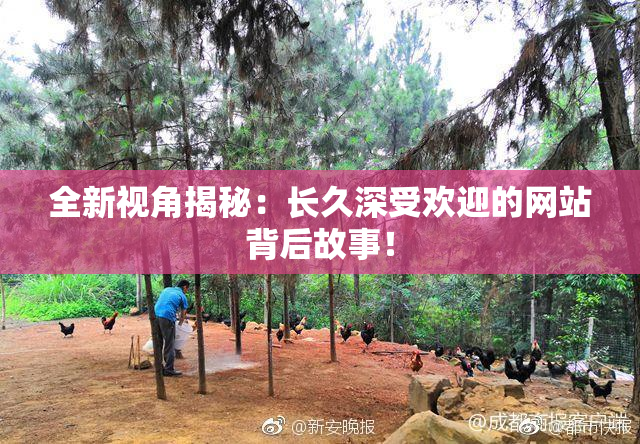 全新视角揭秘：长久深受欢迎的网站背后故事！