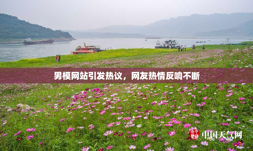 男模网站引发热议，网友热情反响不断
