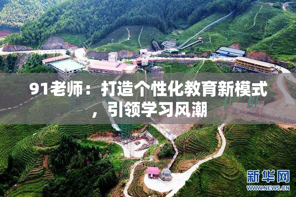 91老师：打造个性化教育新模式，引领学习风潮