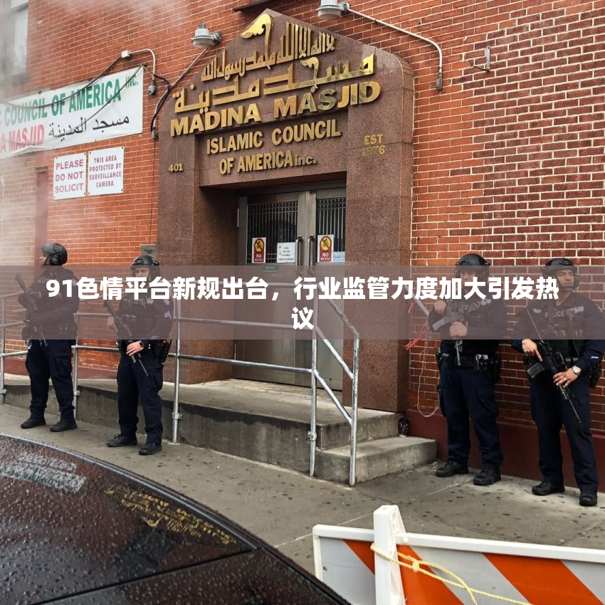 91色情平台新规出台，行业监管力度加大引发热议