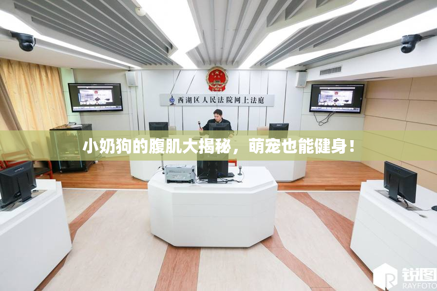 小奶狗的腹肌大揭秘，萌宠也能健身！