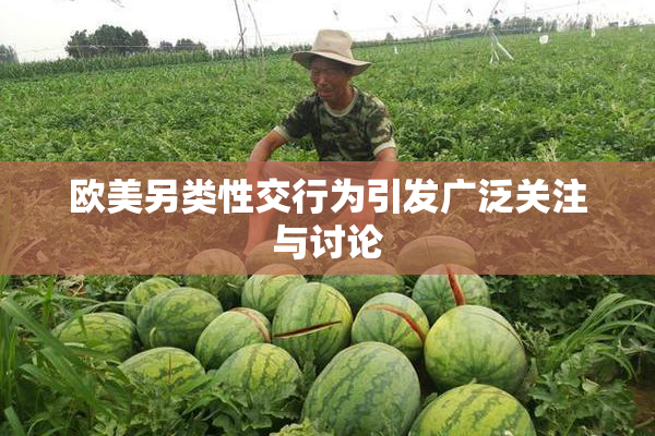 欧美另类性交行为引发广泛关注与讨论
