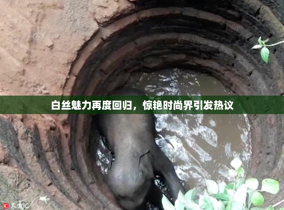 白丝魅力再度回归，惊艳时尚界引发热议