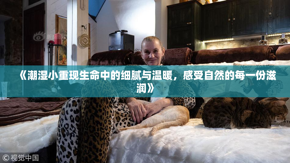 《潮湿小重现生命中的细腻与温暖，感受自然的每一份滋润》