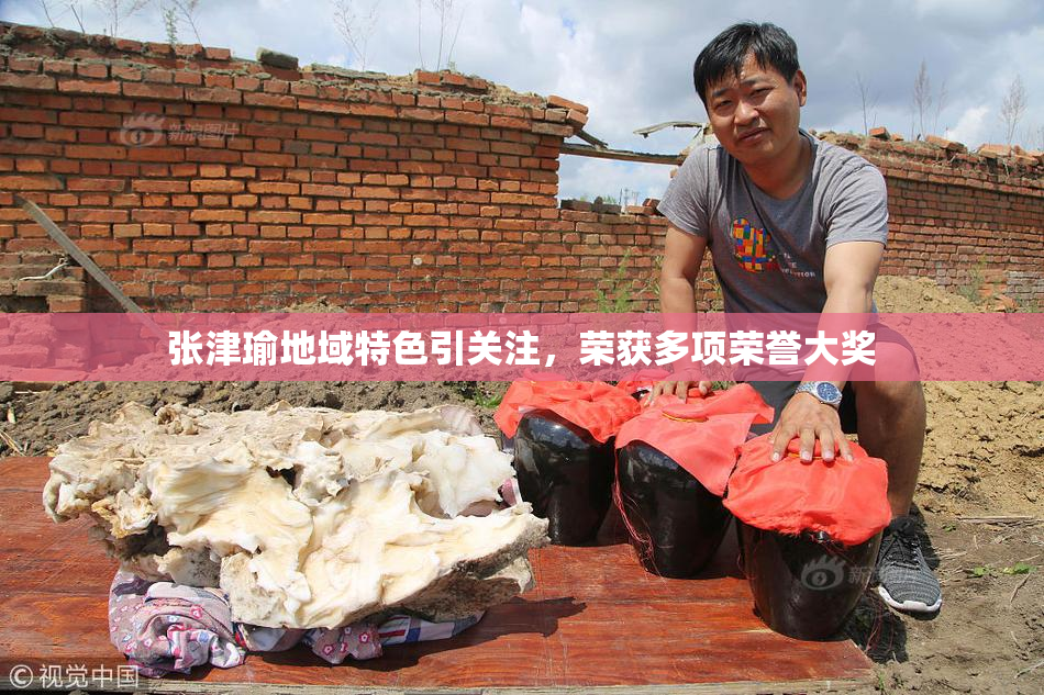 张津瑜地域特色引关注，荣获多项荣誉大奖
