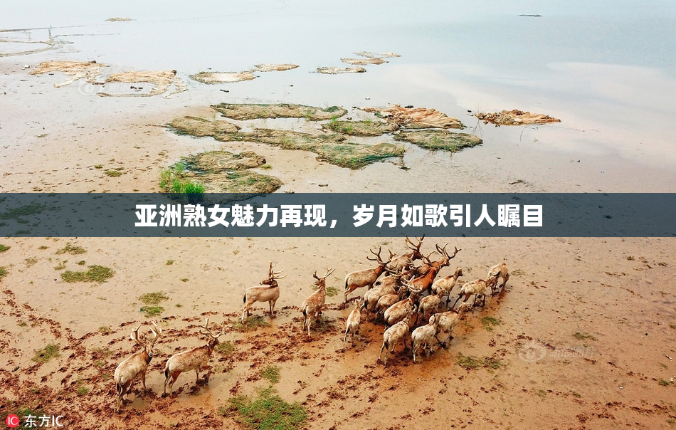 亚洲熟女魅力再现，岁月如歌引人瞩目