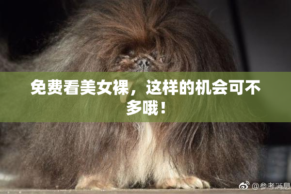 免费看美女裸，这样的机会可不多哦！