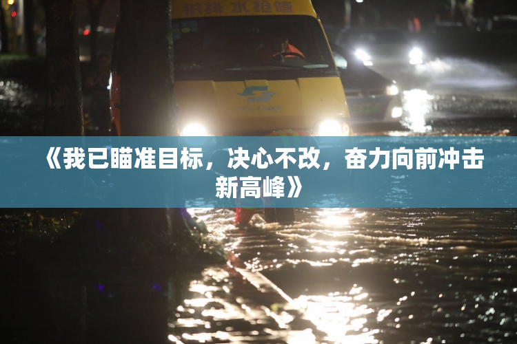 《我已瞄准目标，决心不改，奋力向前冲击新高峰》