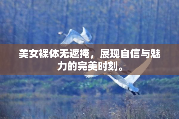 美女裸体无遮掩，展现自信与魅力的完美时刻。