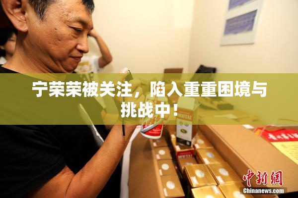 宁荣荣被关注，陷入重重困境与挑战中！