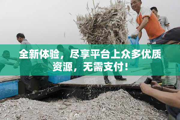全新体验，尽享平台上众多优质资源，无需支付！