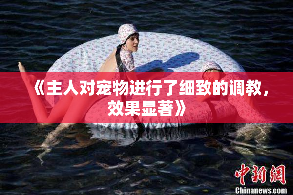 《主人对宠物进行了细致的调教，效果显著》