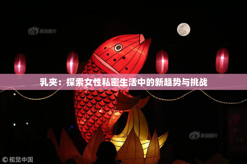 乳夹：探索女性私密生活中的新趋势与挑战