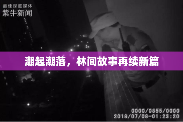 潮起潮落，林间故事再续新篇