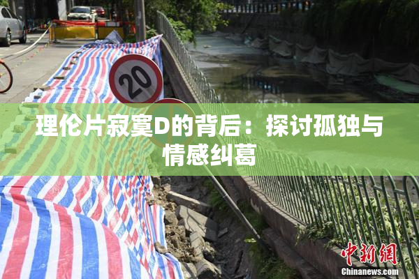 理伦片寂寞D的背后：探讨孤独与情感纠葛