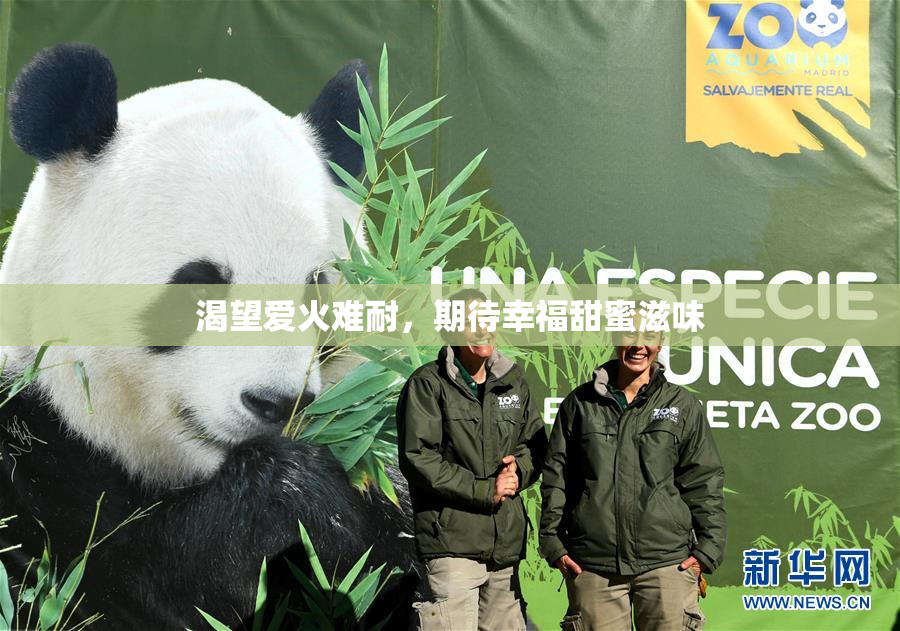 渴望爱火难耐，期待幸福甜蜜滋味