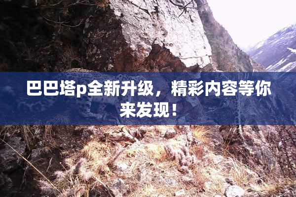巴巴塔p全新升级，精彩内容等你来发现！