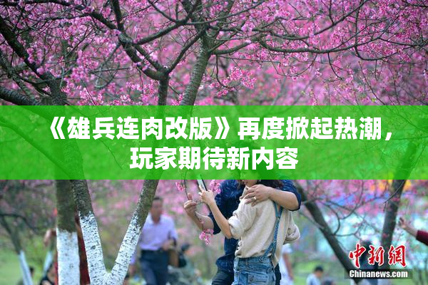 《雄兵连肉改版》再度掀起热潮，玩家期待新内容