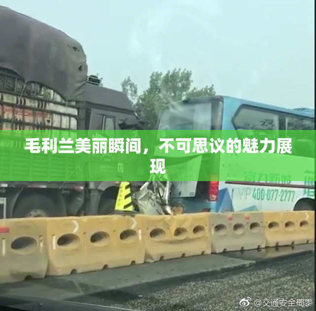 毛利兰美丽瞬间，不可思议的魅力展现