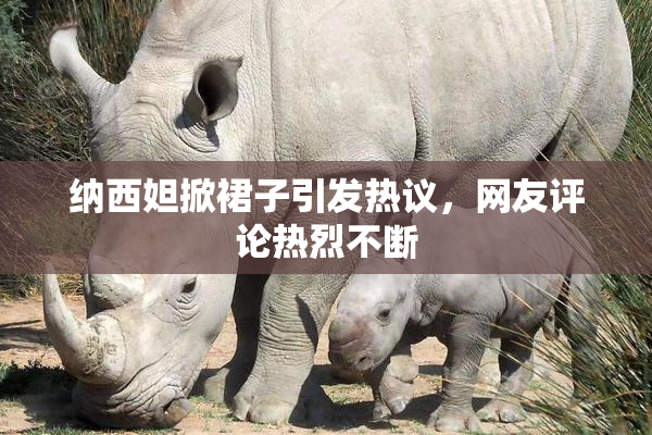 纳西妲掀裙子引发热议，网友评论热烈不断