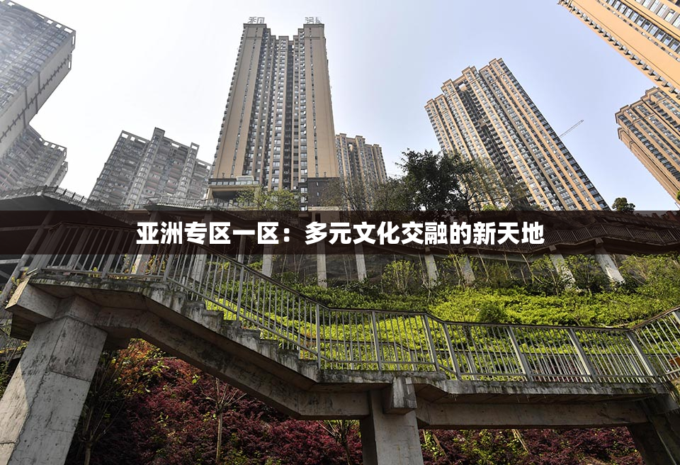 亚洲专区一区：多元文化交融的新天地