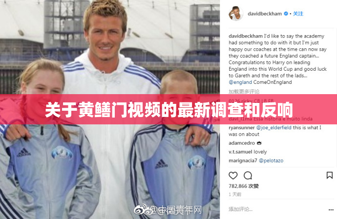 关于黄鳝门视频的最新调查和反响