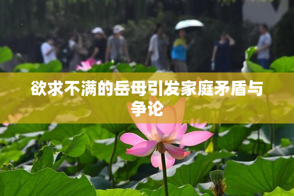 欲求不满的岳母引发家庭矛盾与争论