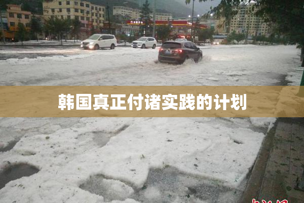 韩国真正付诸实践的计划