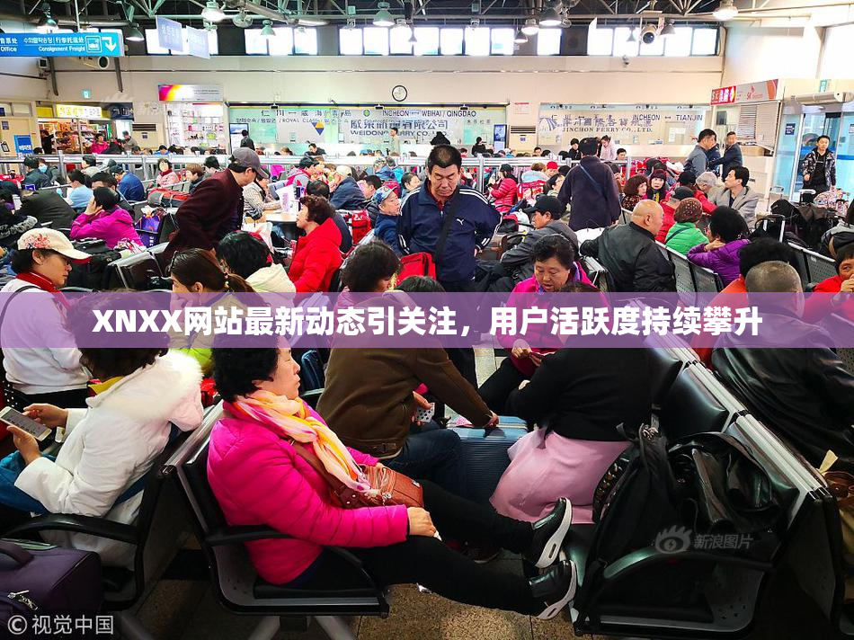 XNXX网站最新动态引关注，用户活跃度持续攀升