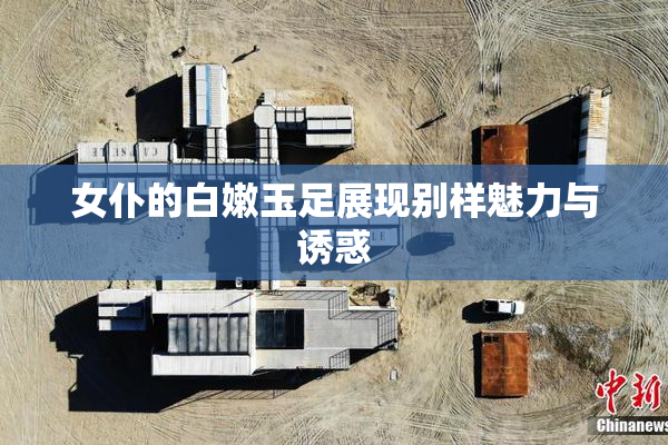 女仆的白嫩玉足展现别样魅力与诱惑