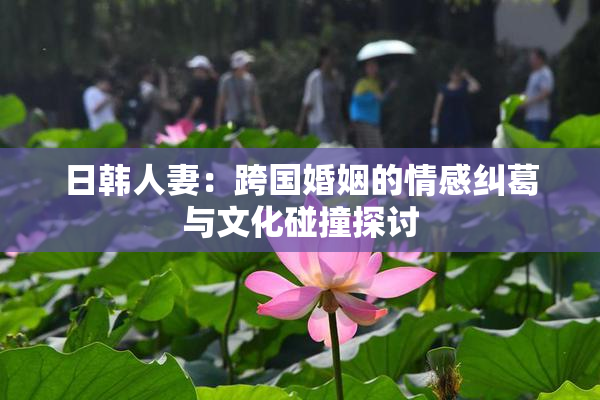 日韩人妻：跨国婚姻的情感纠葛与文化碰撞探讨