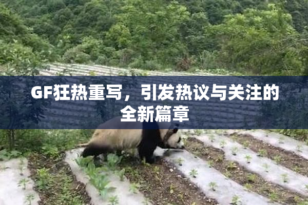 GF狂热重写，引发热议与关注的全新篇章