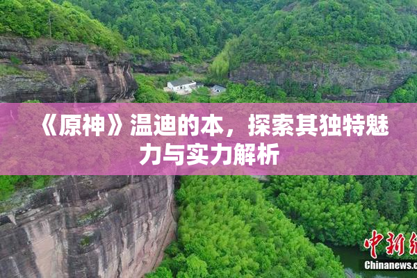 《原神》温迪的本，探索其独特魅力与实力解析