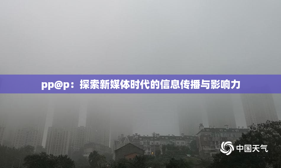 pp@p：探索新媒体时代的信息传播与影响力