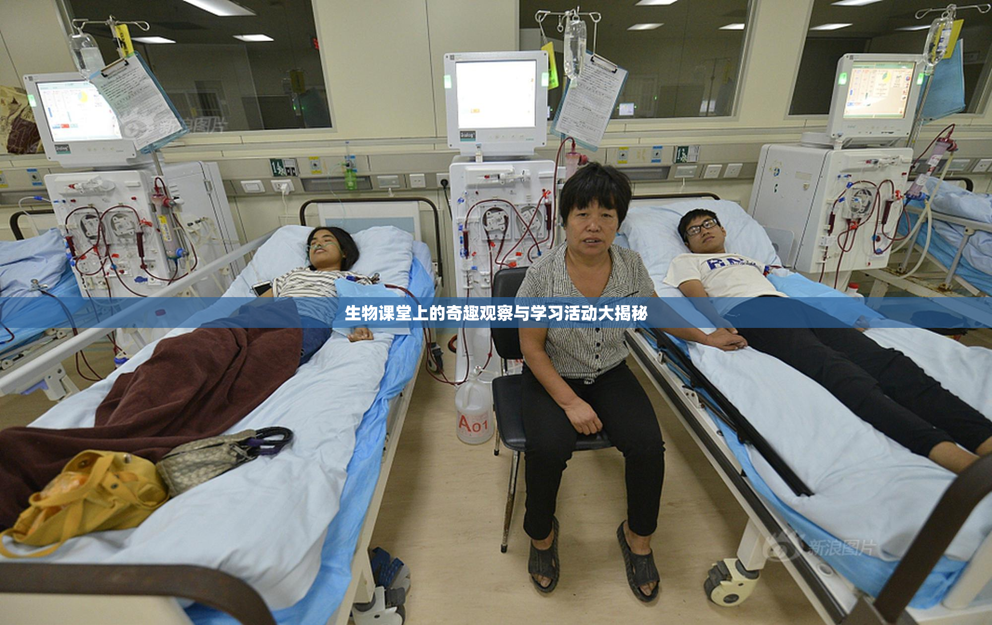 生物课堂上的奇趣观察与学习活动大揭秘