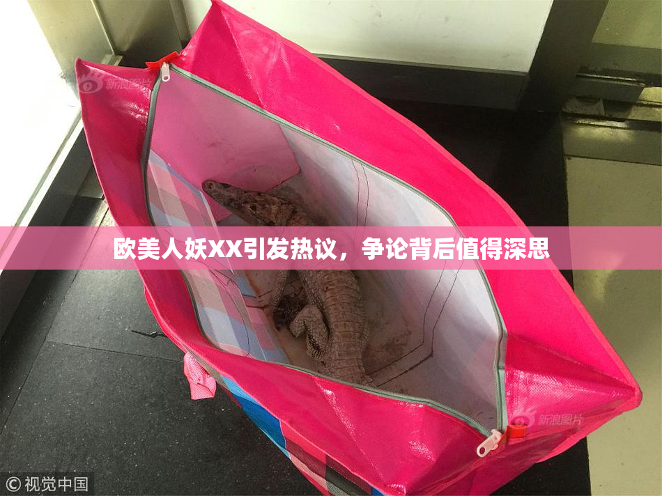 欧美人妖XX引发热议，争论背后值得深思