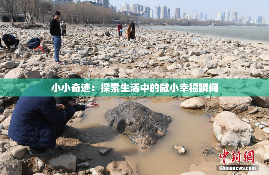 小小奇迹：探索生活中的微小幸福瞬间