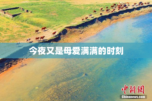 今夜又是母爱满满的时刻