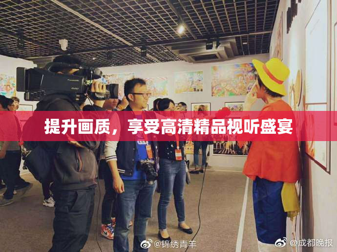 提升画质，享受高清精品视听盛宴
