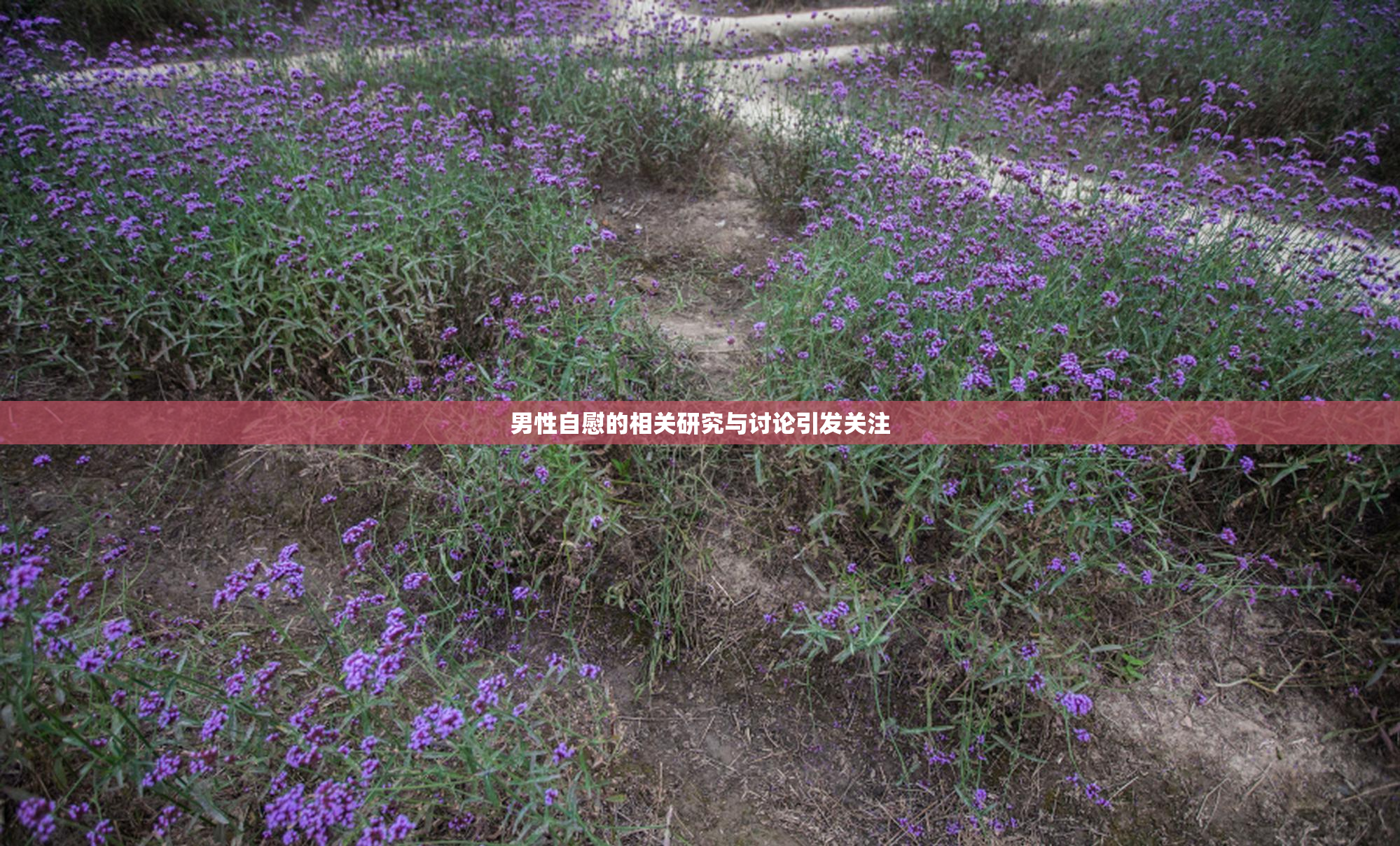 男性自慰的相关研究与讨论引发关注