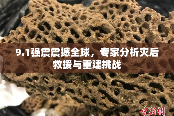 9.1强震震撼全球，专家分析灾后救援与重建挑战