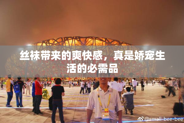 丝袜带来的爽快感，真是娇宠生活的必需品