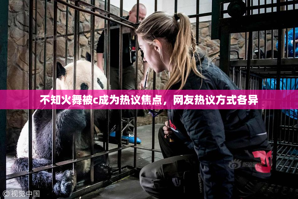 不知火舞被c成为热议焦点，网友热议方式各异