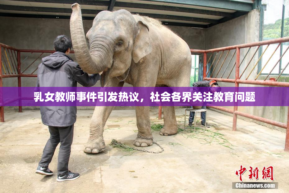 乳女教师事件引发热议，社会各界关注教育问题
