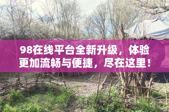 98在线平台全新升级，体验更加流畅与便捷，尽在这里！