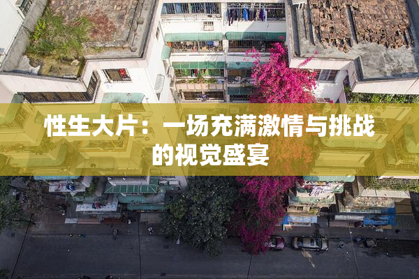 性生大片：一场充满激情与挑战的视觉盛宴
