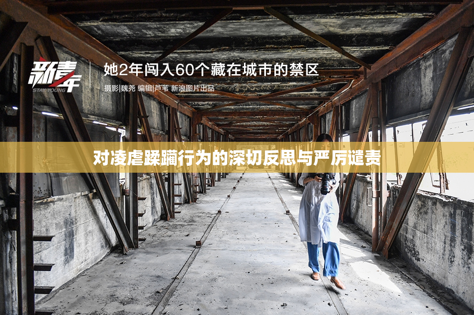 对凌虐蹂躏行为的深切反思与严厉谴责